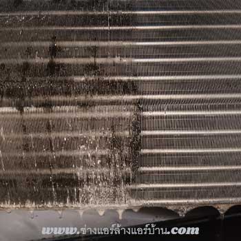 หากคุณกำลังมองหาบริการ ล้างแอร์ เทอดไท ตลาดพลู ธนบุรี ที่เชื่อถือได้ ราคาโปร่งใส และมีช่างผู้เชี่ยวชาญให้บริการถึงบ้าน คุณมาถูกที่แล้ว! เราให้บริการล้างแอร์ ซ่อมแอร์ และเติมน้ำยาแอร์ครบวงจรในย่านเทอดไท ตลาดพลู และพื้นที่ใกล้เคียงในเขตธนบุรี ด้วยทีมช่างที่มีประสบการณ์ พร้อมอุปกรณ์ทันสมัยและบริการหลังเซอร์วิส คอยดูแล แอร์ท่าน ล้างแอร์ เทอดไท ตลาดพลู ซ่อมแอร์ ช่างแอร์ ล้างแอร์บ้าน ใกล้ฉัน - Air Conditioning Service Therdthai Talad plu Bangkok - Air conditioner technician make appointment in Bangkok