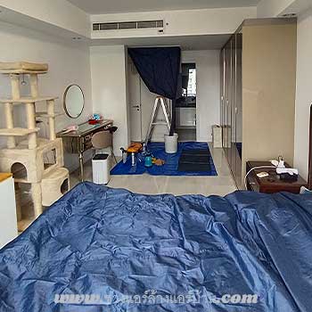 ล้างแอร์ ฝังฝ้า ป้องกันน้ำหยด: ถาดน้ำทิ้งของแอร์ฝังฝ้ามักสะสมเมือกและสิ่งสกปรกได้ง่ายกว่าปกติ ลดภาระค่าไฟฟ้า: เมื่อคอยล์เย็นสะอาด เครื่องไม่ต้องทำงานหนัก ช่วยประหยัดค่าไฟได้ทันที อากาศบริสุทธิ์: กำจัดเชื้อราและแบคทีเรียที่สะสมอยู่ในท่อลมและตัวเครื่อง - ช่างแอร์ ล้างแอร์บ้าน : Air-con Bangkok- ล้างแอร์ เทอดไท ตลาดพลู ซ่อมแอร์ ช่างแอร์ ล้างแอร์บ้าน ใกล้ฉัน - Air Conditioning Service Therdthai Talad plu Bangkok - Air conditioner technician make appointment in Bangkok