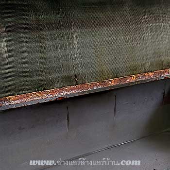 ล้างแอร์ แขวน Ceiling Type กับ ช่างแอร์ ตลาดพลู แก้ปัญหาแอร์ไม่เย็น มีกลิ่นอับอย่างได้ผล การดูแลรักษาเครื่องปรับอากาศเป็นเรื่องสำคัญ โดยเฉพาะ แอร์แขวน (Ceiling Type) ซึ่งมักนิยมใช้ในออฟฟิศ ร้านค้า หรือห้องโถงขนาดใหญ่ เนื่องจากมีกำลังลมแรงและกระจายความเย็นได้ไกล แต่ด้วยการใช้งานที่หนักหน่วง ทำให้ฝุ่นละอองสะสมได้ง่ายกว่าปกติ การเลือกใช้บริการ ช่างแอร์ ที่เชี่ยวชาญด้าน ล้างแอร์บ้าน และแอร์เชิงพาณิชย์จึงเป็นสิ่งที่ไม่ควรละเลย  ช่างแอร์ ล้างแอร์บ้าน : Air-con Bangkok- ล้างแอร์ เทอดไท ตลาดพลู ซ่อมแอร์ ช่างแอร์ ล้างแอร์บ้าน ใกล้ฉัน - Air Conditioning Service Therdthai Talad plu Bangkok - Air conditioner technician make appointment in Bangkok