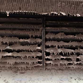 ข้อดีของการ ล้างแอร์บ่อยๆ •ประหยัดค่าไฟได้สูงสุด 20–30% เมื่อเครื่องทำงานสะอาดและมีประสิทธิภาพ •อากาศในบ้านบริสุทธิ์ ปลอดเชื้อโรค เหมาะสำหรับครอบครัวที่มีเด็กและผู้สูงอายุ • ยืดอายุการใช้งานของเครื่องแอร์ให้ยาวนานขึ้น ลดค่าซ่อมในอนาคต •ระบบทำความเย็นทำงานได้อย่างเต็มประสิทธิภาพ เย็นเร็ว เย็นนาน • ตรวจพบปัญหาก่อนที่จะเสียหายหนัก ลดค่าใช้จ่ายระยะยาว ล้างแอร์ เทอดไท ตลาดพลู ซ่อมแอร์ ช่างแอร์ ล้างแอร์บ้าน ใกล้ฉัน - Air Conditioning Service Therdthai Talad plu Bangkok - Air conditioner technician make appointment in Bangkok